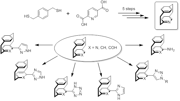 Abbildung 2: Von Paracyclophanen zu Pyridinophanen: Ein modulares System für die Darstellung mehrkerniger Komplexe wurde entwickelt.