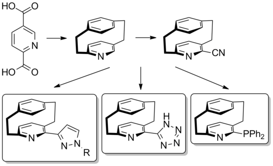 Syntheserouten für das Pyridinophan-Grundgerüst