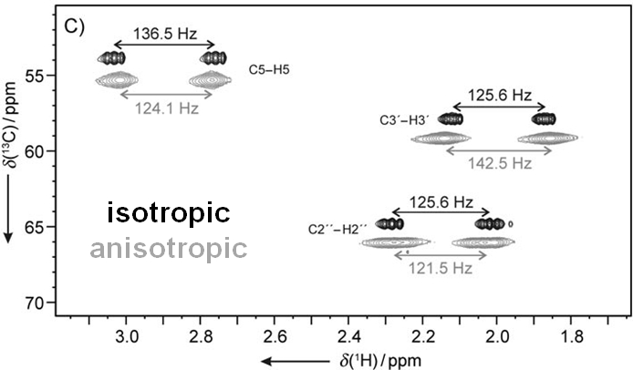 RDC: HSQC spectrum - isotropic and anisotropic