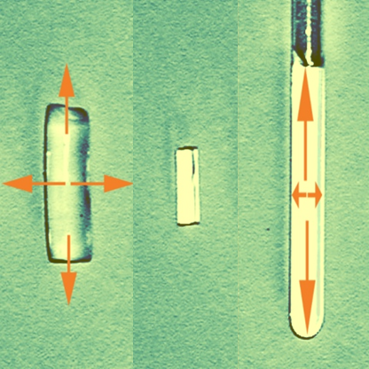 Anisotropic NMR 