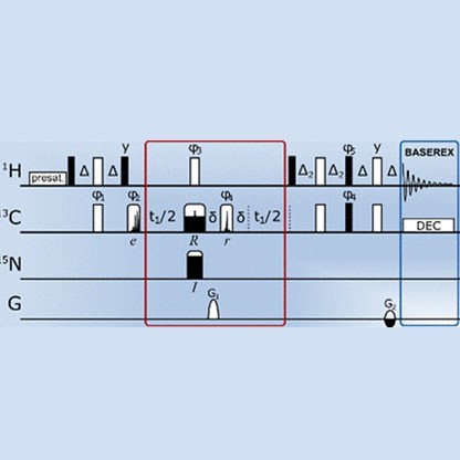 Pulse Sequences