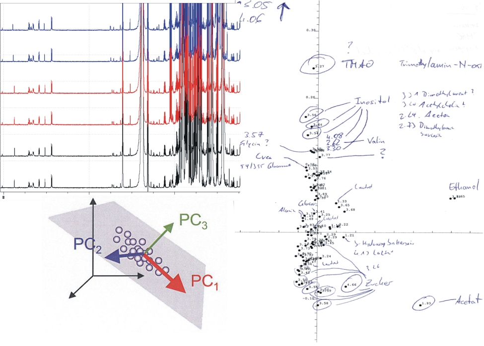 metabolomics logo