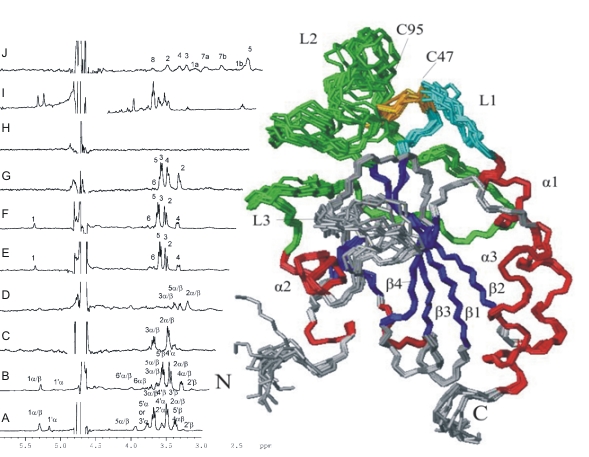 structural chemistry logo